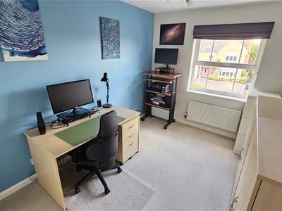 Picture 31